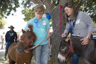 Mother And Son Share Special Bond And Kidney Mother And Son Share Special Bond And Kidney